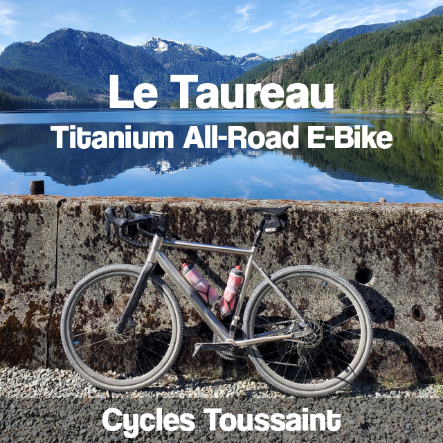 Introducing Le Taureau Titanium All-road e-bike